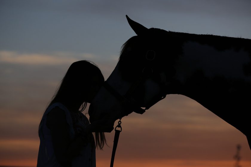 Incredible Non-Riding Careers for Horse Lovers