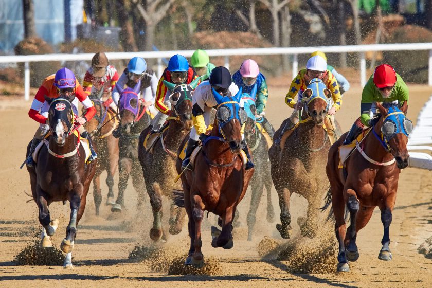 Different Types of Horse Racing Explained