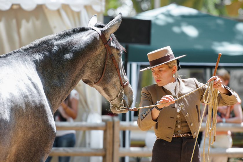 Horse Dressage Explained