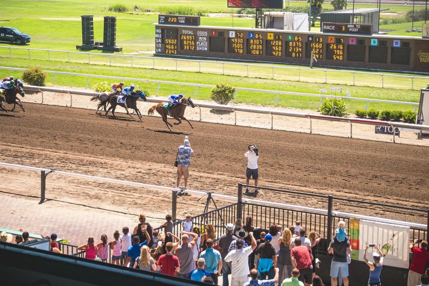 How to Bet on Horses – A Complete Guide