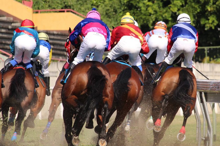 These are the 5 fastest horses in the world!