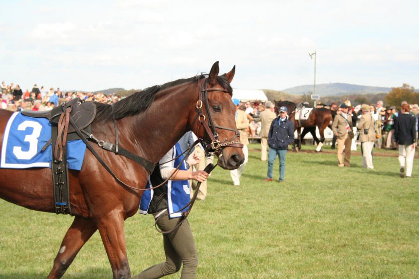 The brief history of the Triple crown